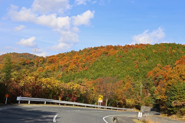 a0242438_1525230.jpg