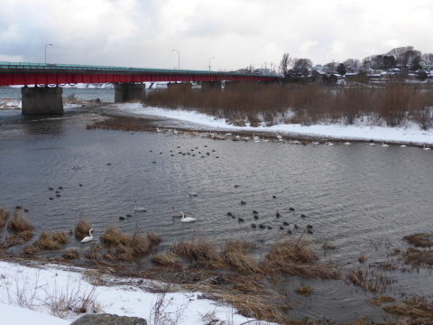b0238249_17111972.jpg