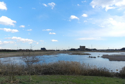 e0172950_113591.jpg