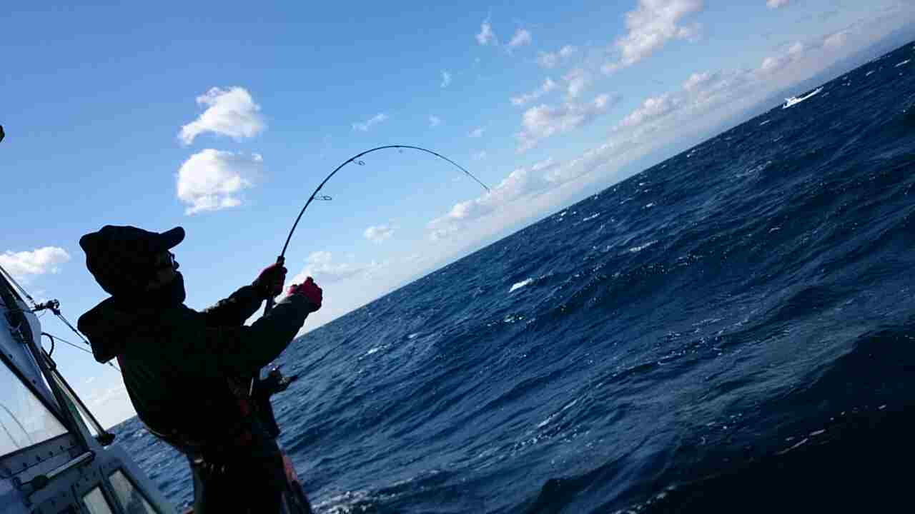 a0248152_17123027.jpg