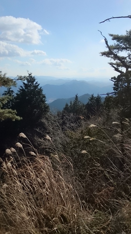 e0024081_08123275.jpg