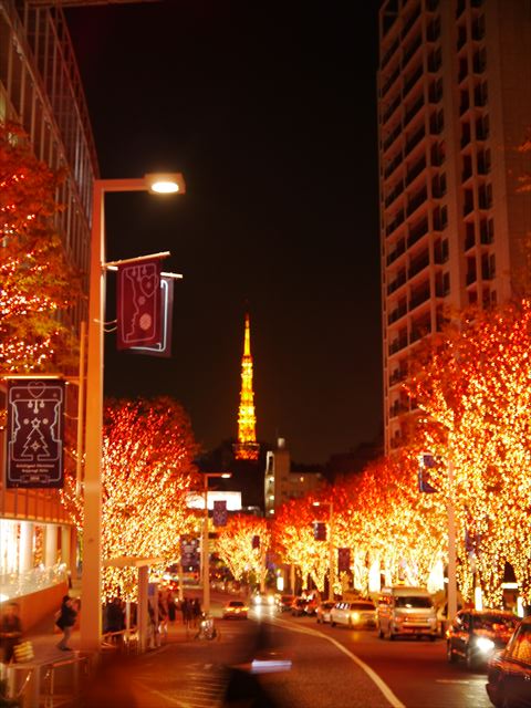 f0167281_1612084.jpg