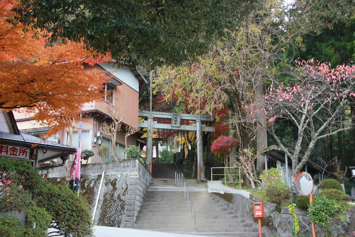 f0098083_1140467.jpg