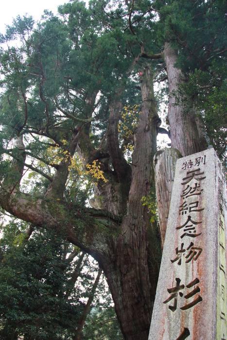 f0098083_11413636.jpg