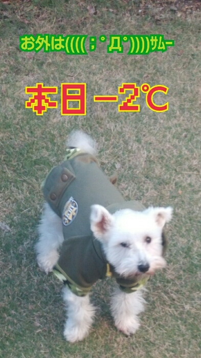 c0348784_8243519.jpg