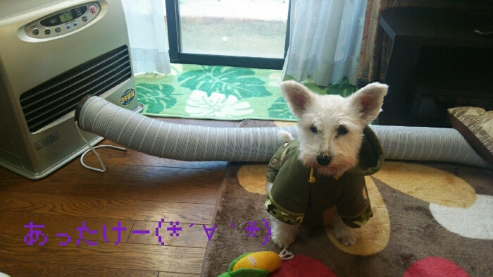 c0348784_8255153.jpg