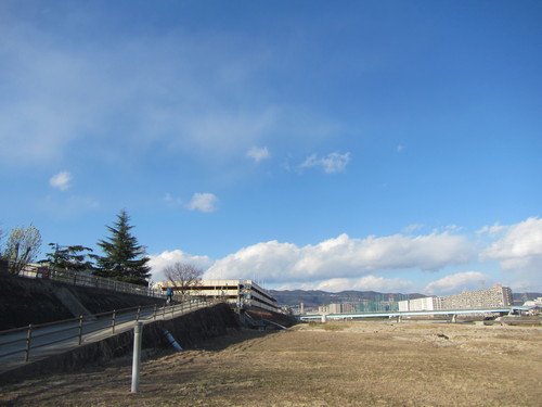 a0251786_13335145.jpg
