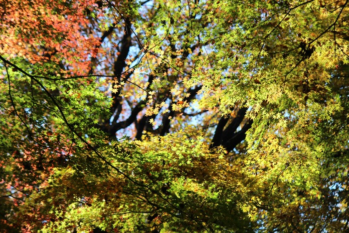 a0127090_901358.jpg