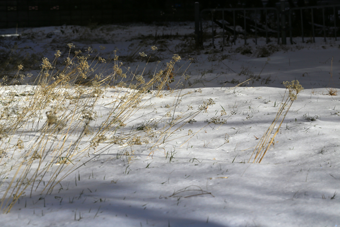 f0001895_1641669.jpg