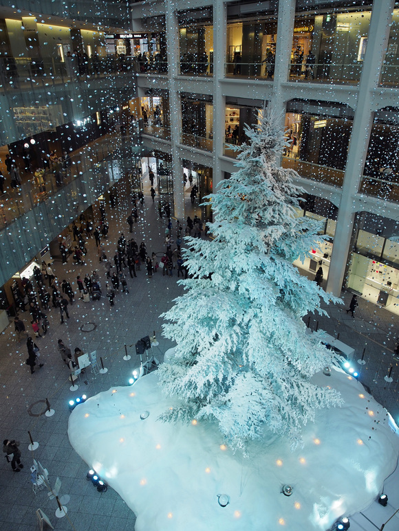 f0240595_2254257.jpg