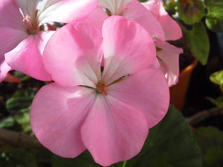 a0268821_22030647.jpg