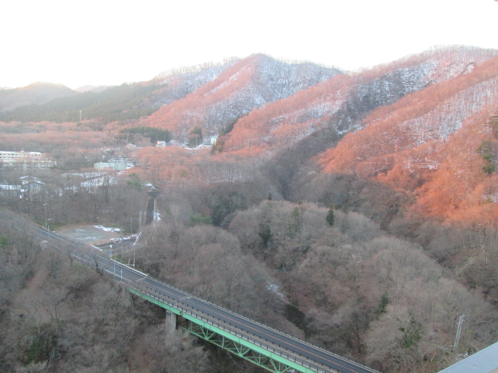 d0159325_1158134.jpg