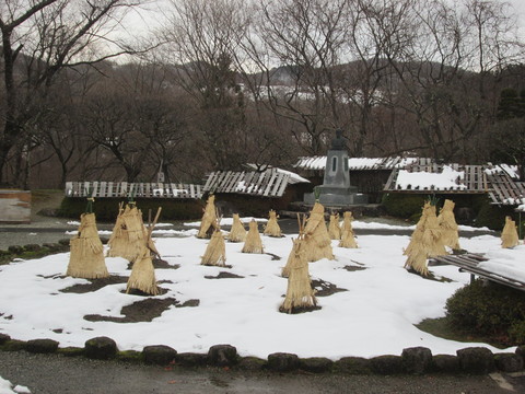 d0159325_12162091.jpg
