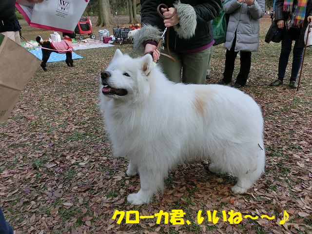 e0196135_2211224.jpg