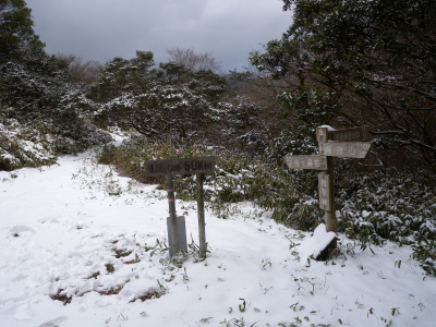 e0272335_1246859.jpg
