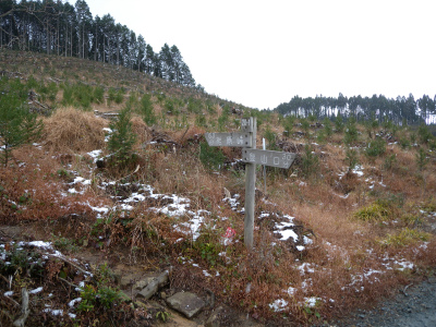 e0272335_12581438.jpg