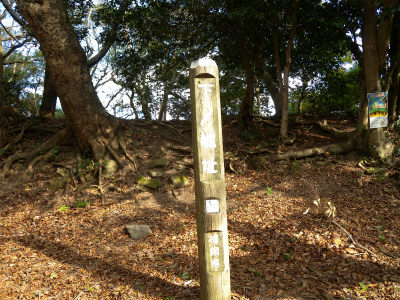 e0272335_1585979.jpg