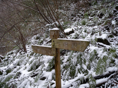 e0272335_914179.jpg