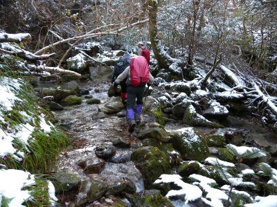 e0272335_99129.jpg