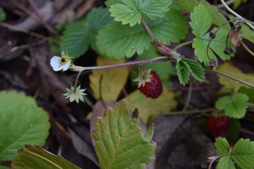 a0291938_0112212.jpg