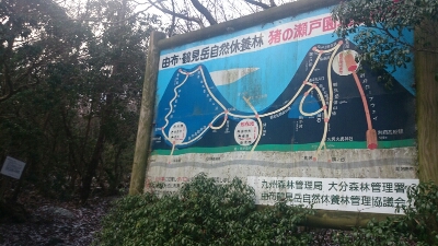 a0289641_22392321.jpg
