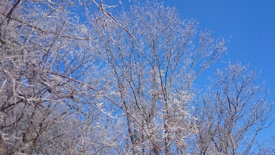 a0289641_2247978.jpg