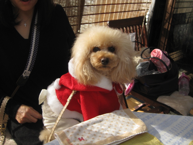 c0134645_012886.jpg