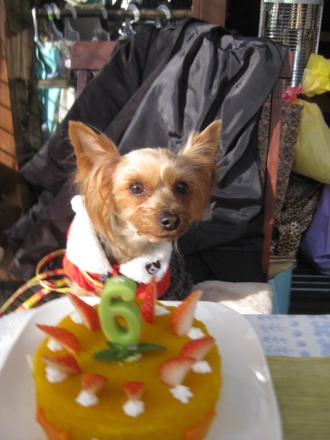 c0134645_0301873.jpg