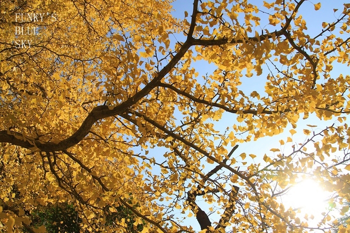 c0145250_10503627.jpg