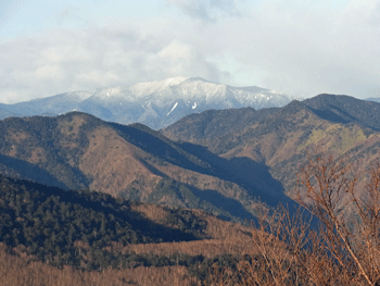 a0044453_8212169.gif