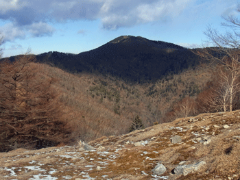 a0044453_8213588.gif