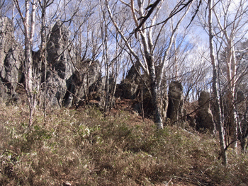 a0044453_8225529.gif
