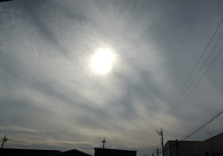 b0173754_17572531.jpg