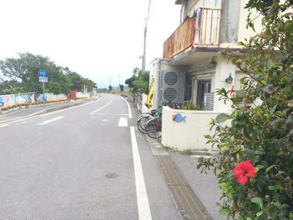 c0115660_2194765.jpg