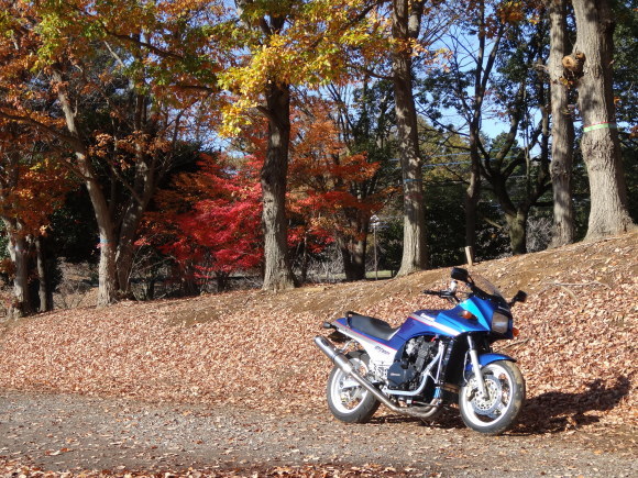 e0046771_02032203.jpg