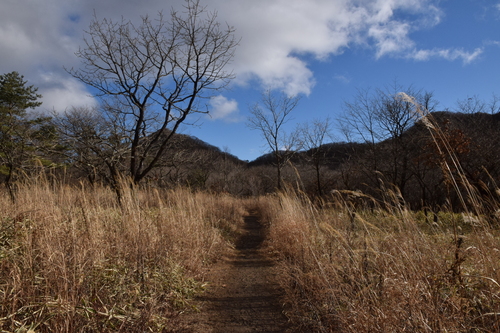 f0342371_2357623.jpg