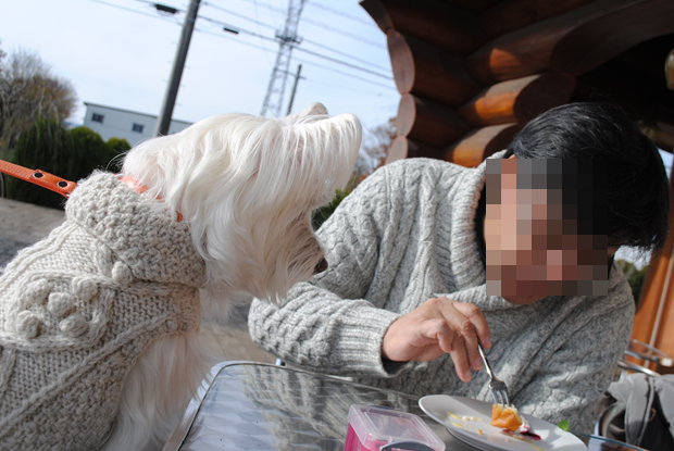 b0242873_14585543.png
