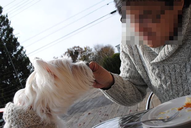 b0242873_14591814.png