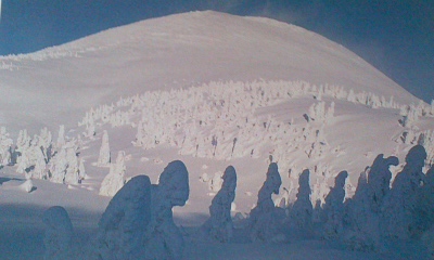 c0069380_1322020.jpg
