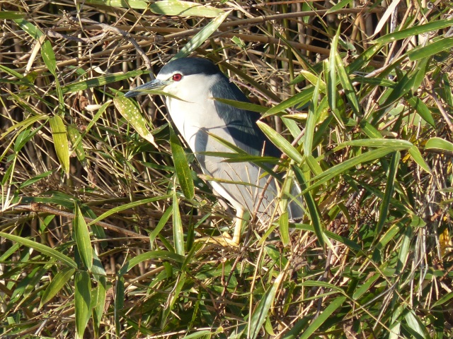 f0357487_22272434.jpg