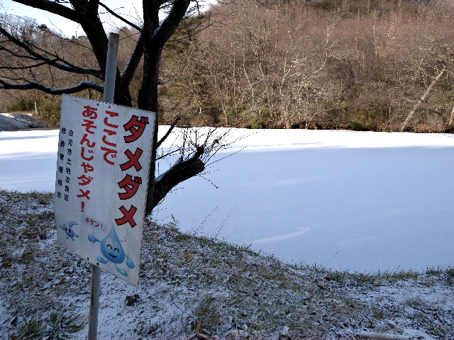 a0199297_11285531.jpg