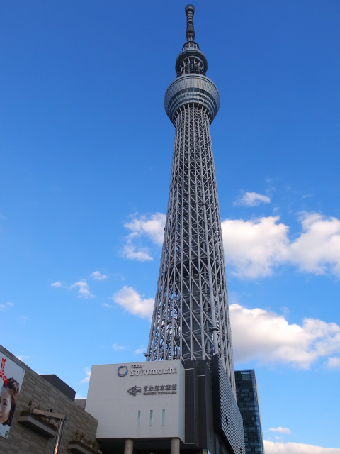 d0081997_20124615.jpg