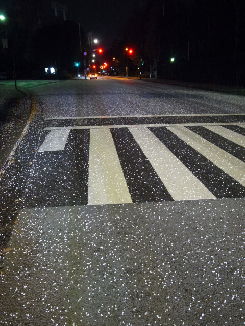 d0081997_20134387.jpg