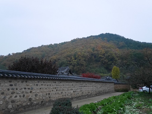 a0140305_2133779.jpg