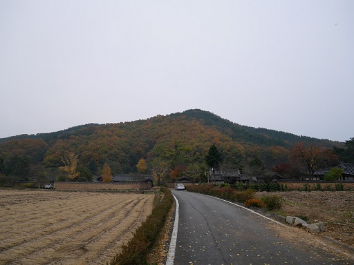 a0140305_272173.jpg