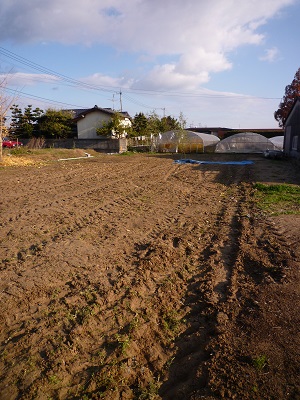 a0156611_103323.jpg