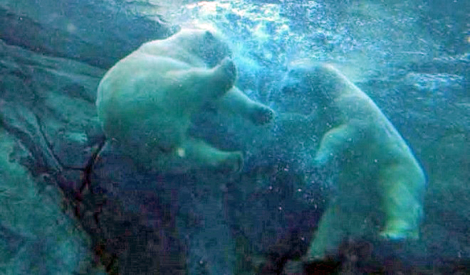 a0151913_012683.jpg
