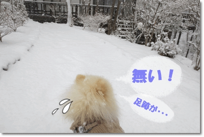 b0167519_16163926.gif