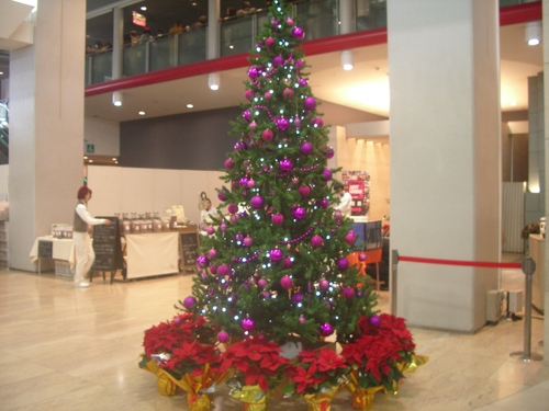 a0286520_1384890.jpg