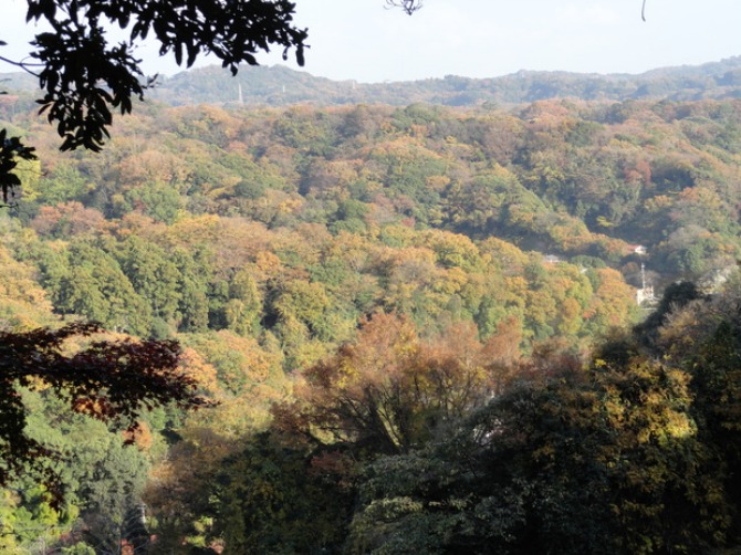 f0238932_17433443.jpg
